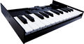Клавишный инструмент Roland K-25m артикул A107984-1-4