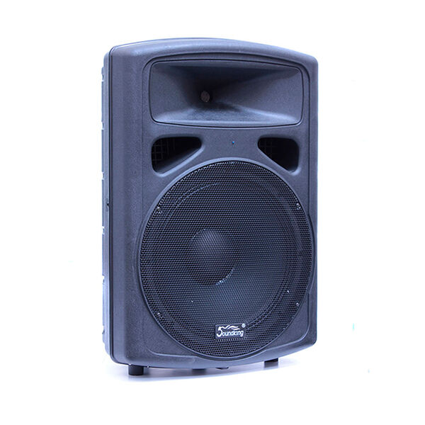 Акустическая система пассивная SOUNDKING FP0215 артикул A153086-1