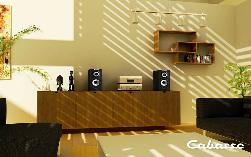 Полочная акустика Cabasse Minorca MC40 Brushed Black артикул A139375-1-5
