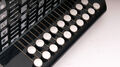 Гармонь Шуйская гармонь SZ48/1-G-BLACK «Чайка» 19х12-II артикул A162408-1-3