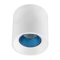 Светильник накладной Denkirs DK3090-WH+CY (White Blue артикул A151886-1-1