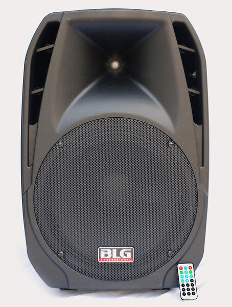 Акустическая система BLG 12UD артикул A124889-1