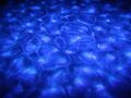 Проектор эффекта водяной ряби Stage 4 WATERWAVE 100LED артикул A130081-1-8