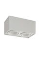 Светильник накладной Denkirs DK2004-WH (White) артикул A151700-1-2