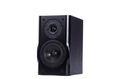 Полочная акустика Radiotehnika X-LINE MM 4.1 black артикул X34021274-1-3