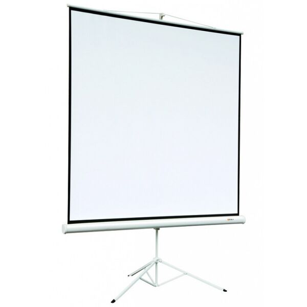 Экран Digis DSKD-4302 (Kontur-D, формат 4:3, 86", 178x139, рабочая поверхность 172x130, MW) артикул A112382-1