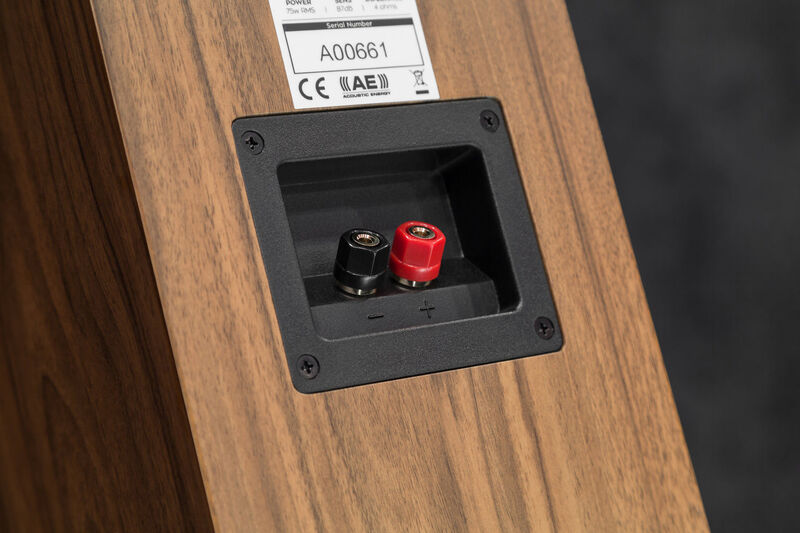 Напольная акустика Acoustic Energy AE 109 (2017) Walnut vinyl veneer артикул T145323-1-8