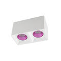 Светильник накладной Denkirs DK3085-WH+PI (White Pink)