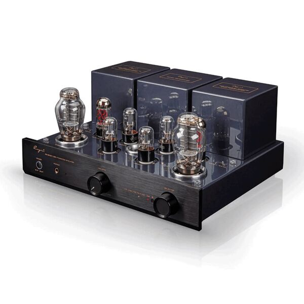 Ламповый усилитель Cayin CS-300A Black артикул A151251-1