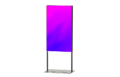 Профессиональный дисплей Lumien LWSD4901FHD