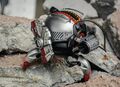 Портативная колонка Gravastar Mars Pro Shark 14 артикул A146327-1-9