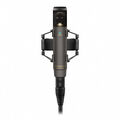 Микрофон Sennheiser MKH 800 TWIN NX
