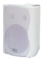 Громкоговоритель настенный SVS Audiotechnik WS-40 White