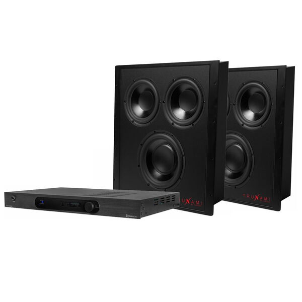 Комплект TruAudio TRUNAMI-DSP-2PAK артикул A136493-1