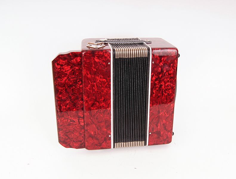 Гармонь Шуйская гармонь SZ48XL-A-RED «Чайка» 19х12-II артикул A162411-1-3