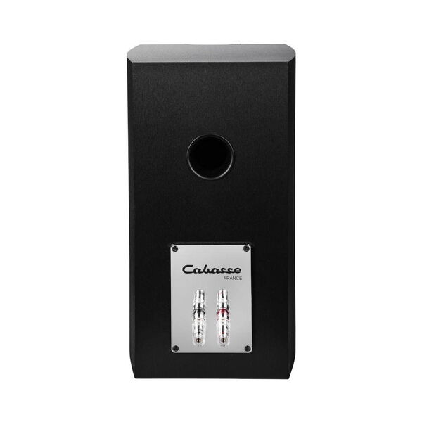 Полочная акустика Cabasse Minorca MC40 Brushed Black артикул A139375-1-4
