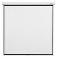Экран Euroscreen Sesame Electric Video (4:3) 113" 230x172.5cm TabT артикул A101634-1-2