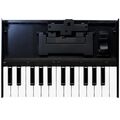 Клавишный инструмент Roland K-25m артикул A107984-1-1