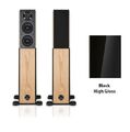 Напольная акустика Audio Physic Avantera Up black high gloss артикул X34054113-1-1