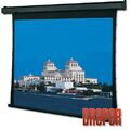 Экран Draper Premier NTSC (3:4) 244/96" 152*203 XT1000V (M1300) ebd 12" case white артикул A108355-1-4