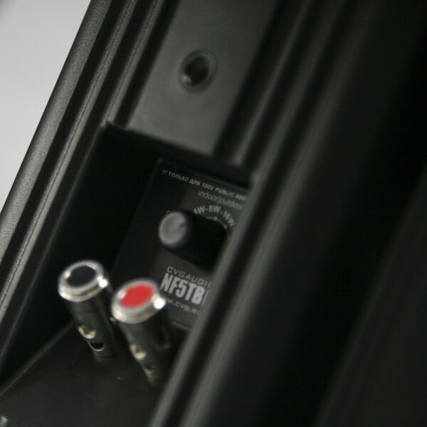 Акустическая система CVGaudio NF5TW артикул A111519-1-6