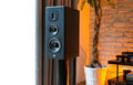Полочная акустика Castle Avon 2 black oak артикул A102574-1-4
