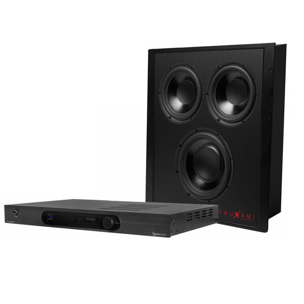 Комплект TruAudio TRUNAMI-DSP-PAK артикул A136490-1