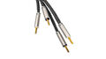 Акустический кабель Ansuz Acoustics Speakz P2 3m артикул A165872-1-1