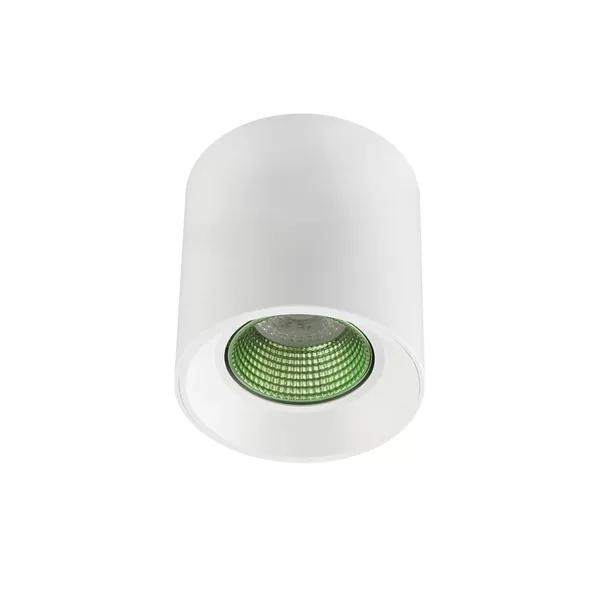 Светильник накладной Denkirs DK3090-WH+GR (White Green) артикул A151890-1