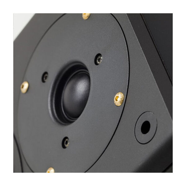 Полочная акустика PMC DB1i  Gold Black Ash артикул A115229-1-3