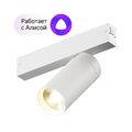 Светильник акцентный Denkirs DK8020-WH (White) артикул A151972-1-1