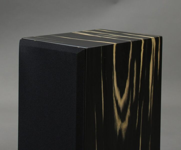 Полочная акустика Davis Acoustics Olympia One Master 35 ebony артикул X34082365-1-2