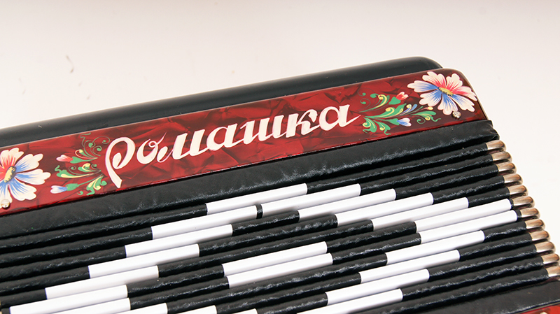 Гармонь Шуйская гармонь S20XL-C-RED "Ромашка" 15х12-I артикул A162366-1-4
