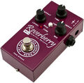Педаль эффектов AMT Electronics RY-1 Reverberry