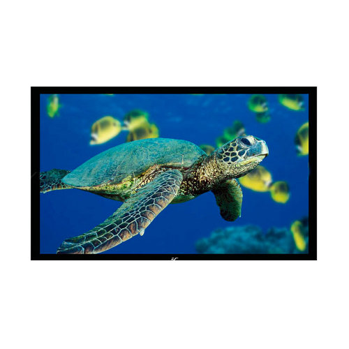 Экран Elite Screens R110WH1 артикул A101627-1