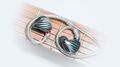 Наушники FiiO FH5 titanium артикул A116057-1-7