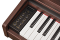 Цифровое пианино Becker BDP-92R артикул A134904-1-3
