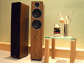 Напольная акустика Acoustic Energy AE 109 (2017) Walnut vinyl veneer артикул T145323-1-6
