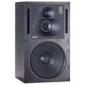Напольная акустика Genelec 1038B black