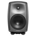 Активная акустика Genelec 8250P black