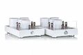Trafomatic Audio Kaivalya monoblocks white Ламповый усилитель моноблок