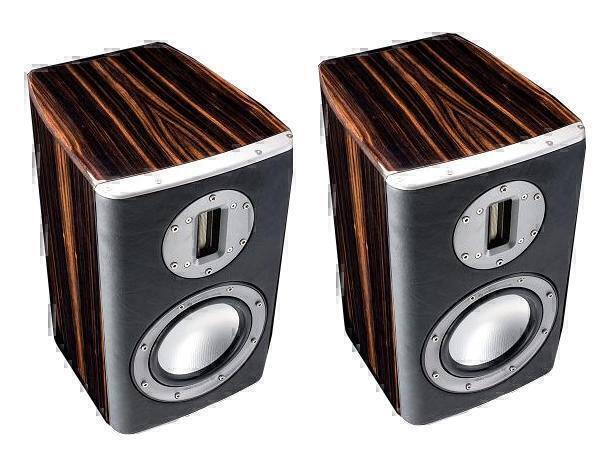 Полочная акустика Monitor Audio GX 100 piano ebony артикул X34034880-1-2