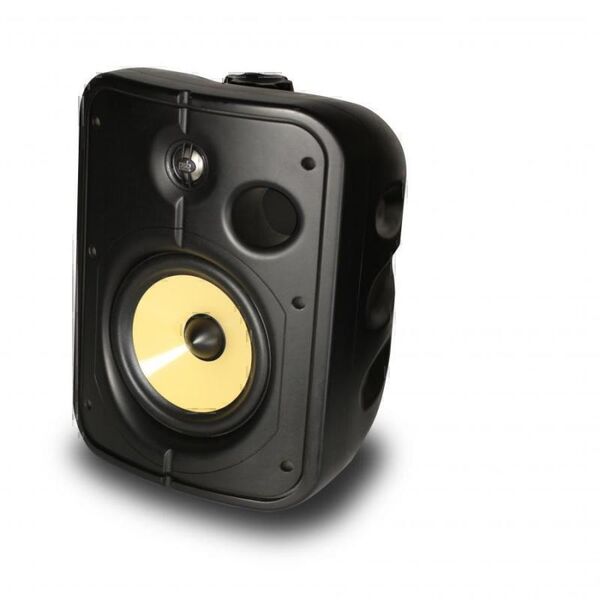 Всепогодная акустика PSB CS1000 black артикул X34101531-1