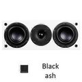 Центральный канал System Audio SA Aura 10 AV black ash