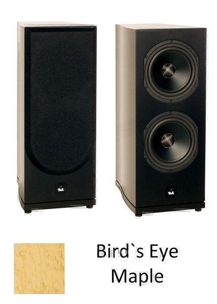Сабвуферы T+A TW 600 bird's eye maple артикул X34014133-1