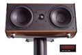 Центральный канал Wilson Benesch Centre red tulip gloss